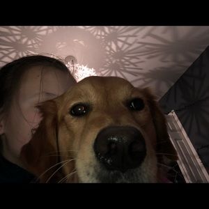 Meet your Posher, Brooklyn